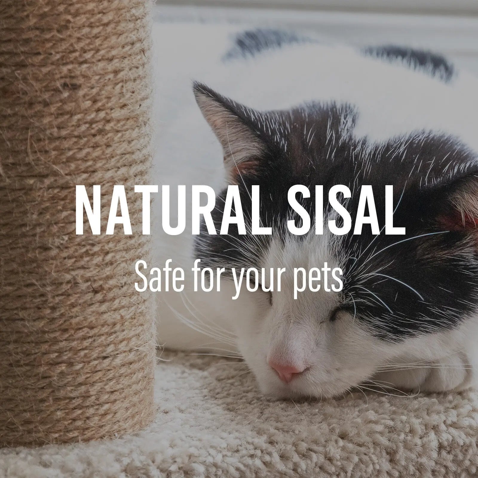 4paws cat tree scratching post house furniture bed luxury plush play 4Paws