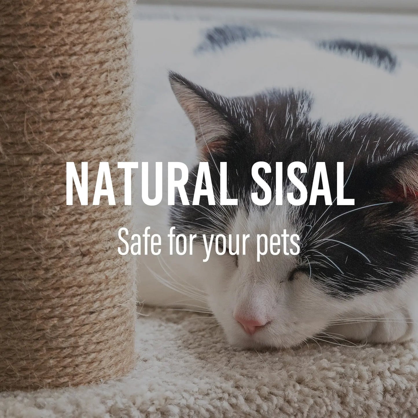 4paws cat tree scratching post house furniture bed luxury plush play 4Paws