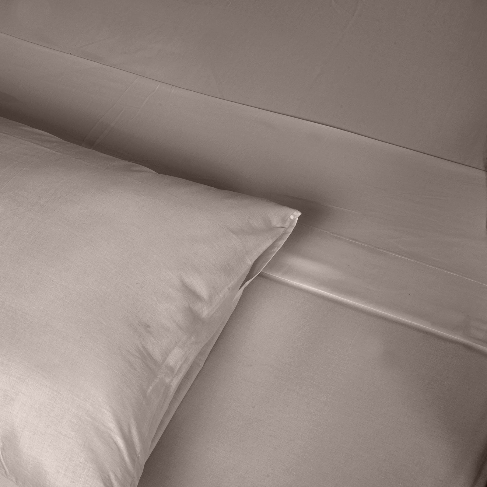 Renee Taylor 1500 Thread Count Pure Soft Cotton Blend Flat & Fitted Sheet Set - Myzenhome