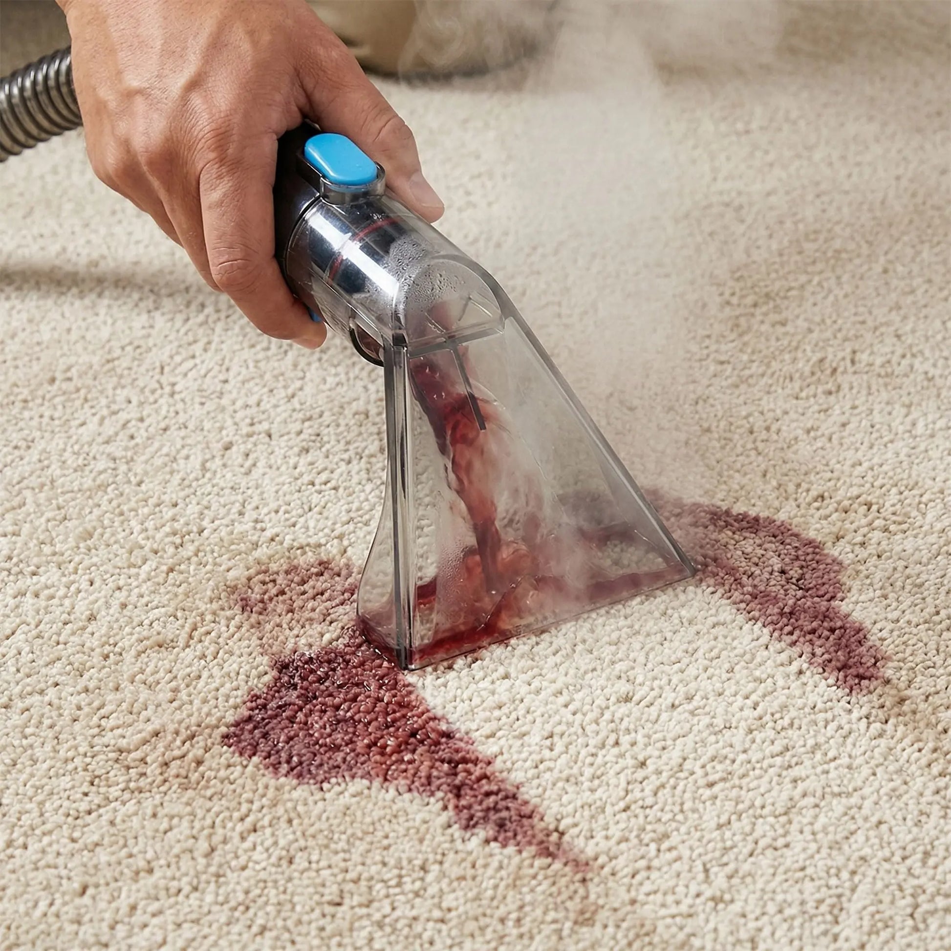 MyGenie Steam Spot Cleaner Pro Myzenhome