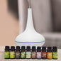 Milano Aroma Diffuser Set With 10 Pack Diffuser Oils Humidifier Aromatherapy - Myzenhome